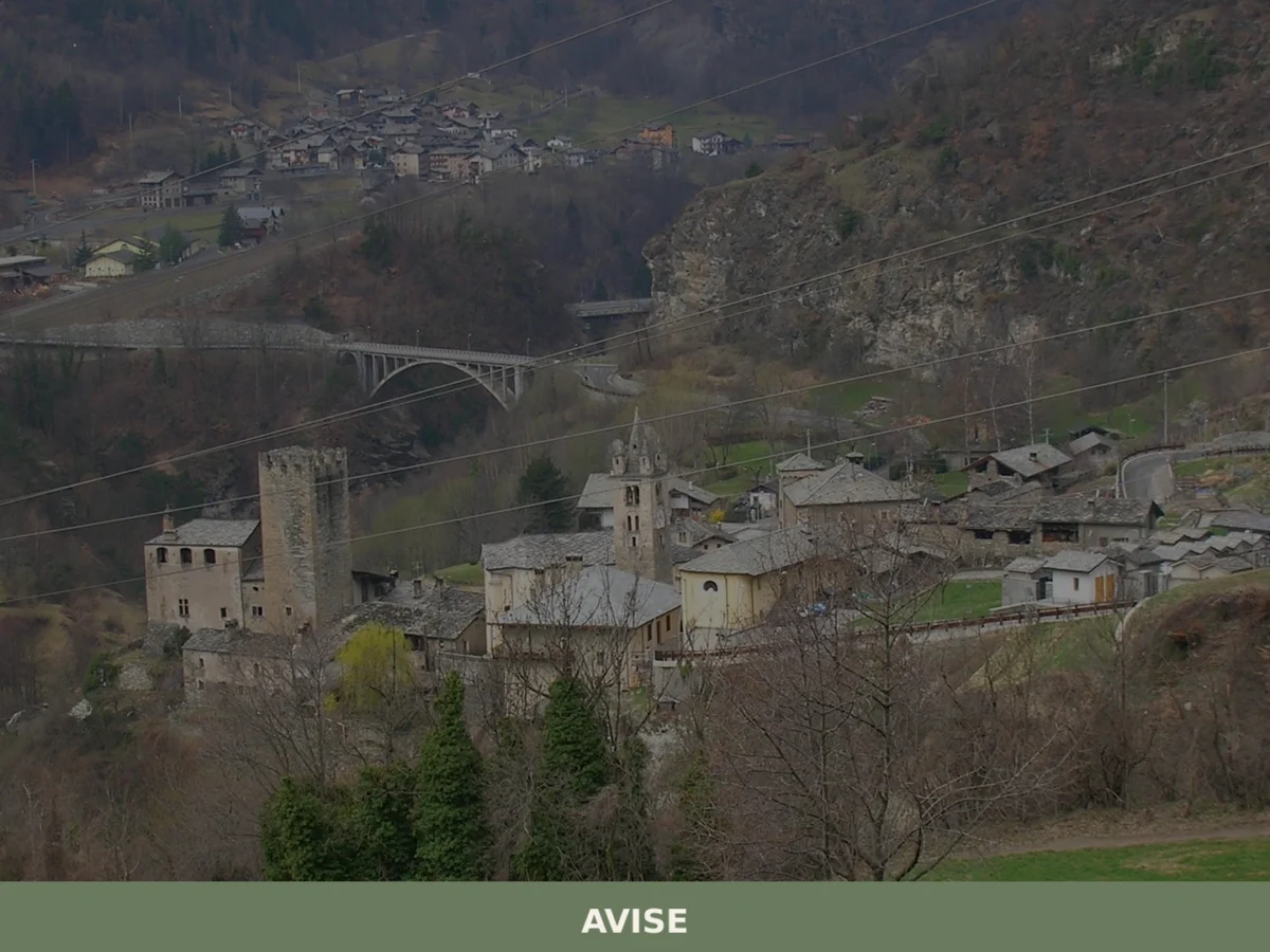 Avise