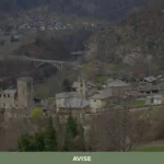 Avise