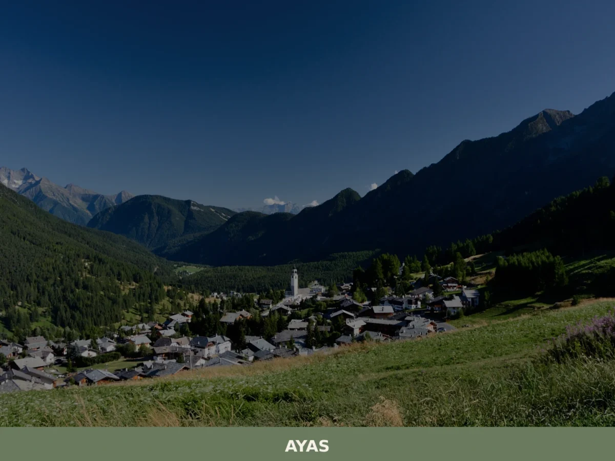 Ayas
