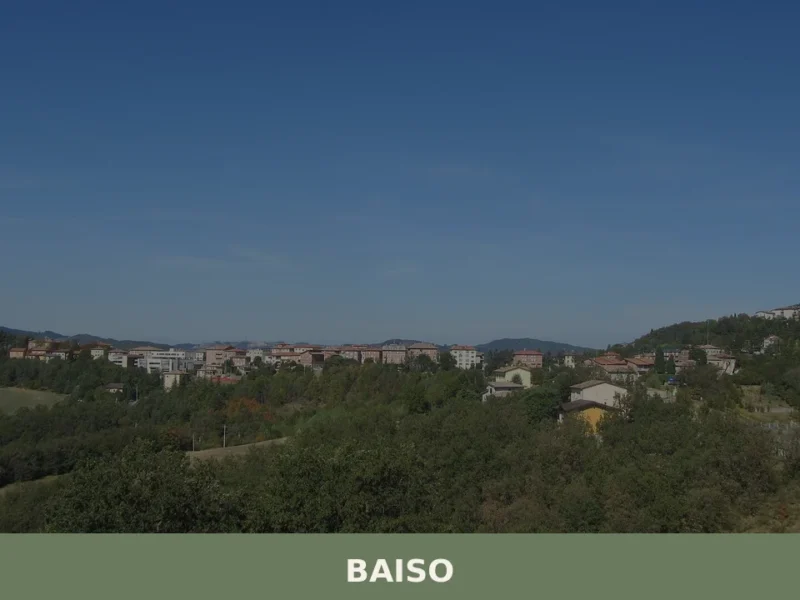 Baiso