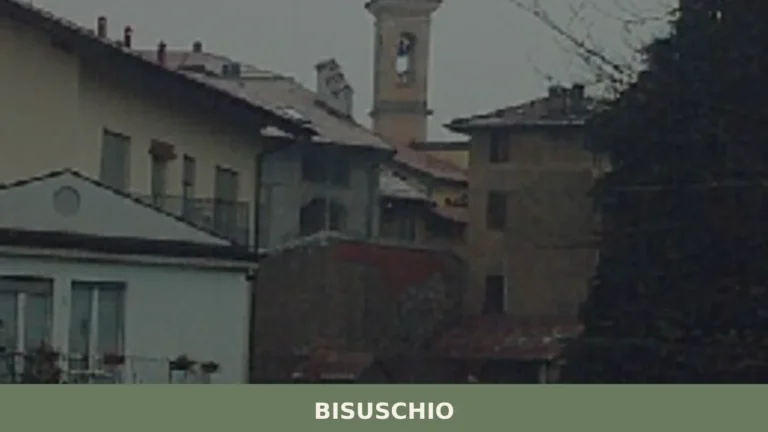 Bisuschio