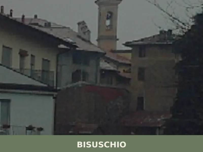 Bisuschio