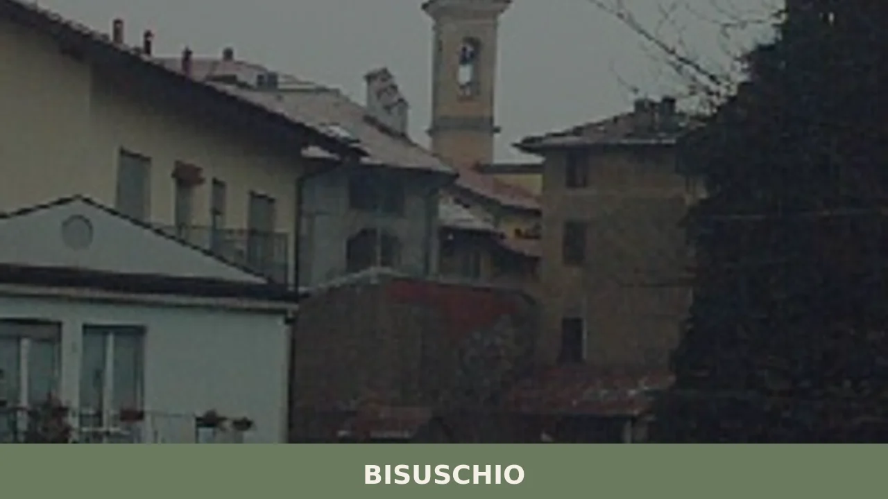 Bisuschio