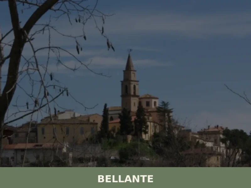 Bellante