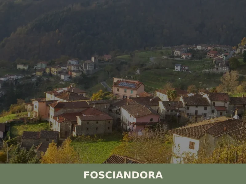 Fosciandora