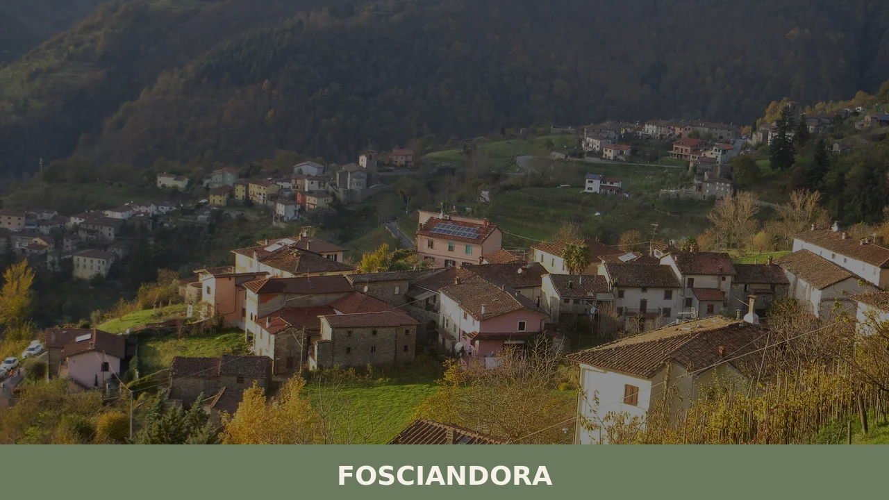 Fosciandora