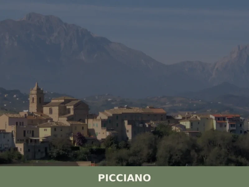 Picciano