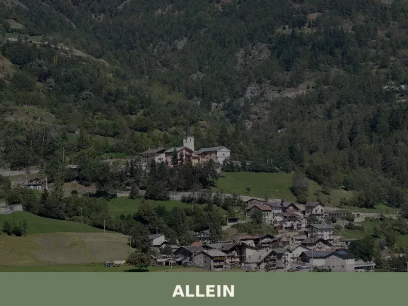 Allein