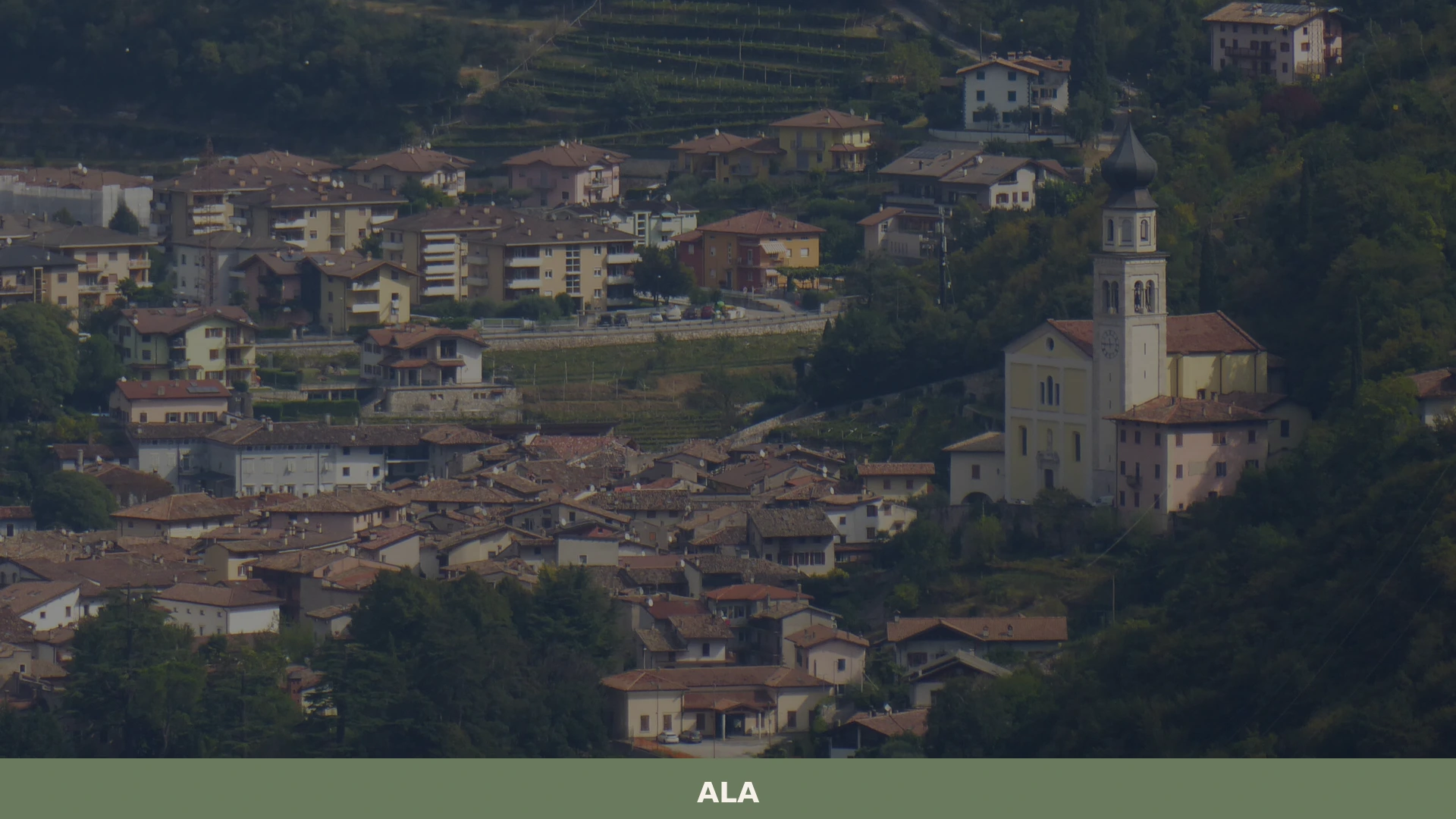 Ala
