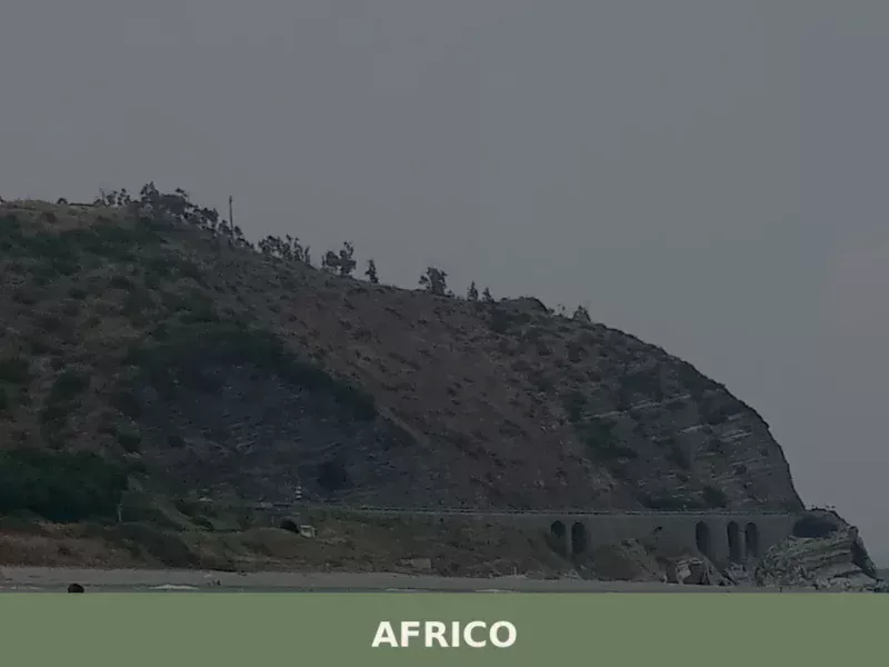 Africo