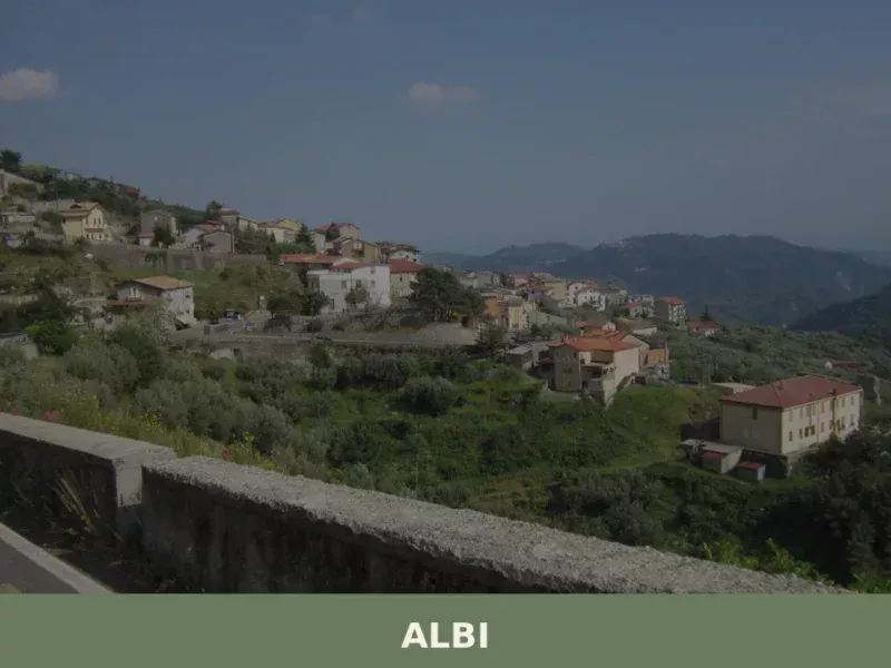 Albi