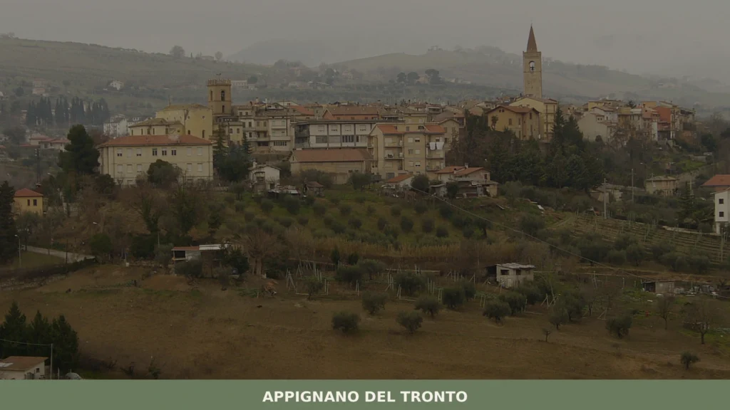 Marche