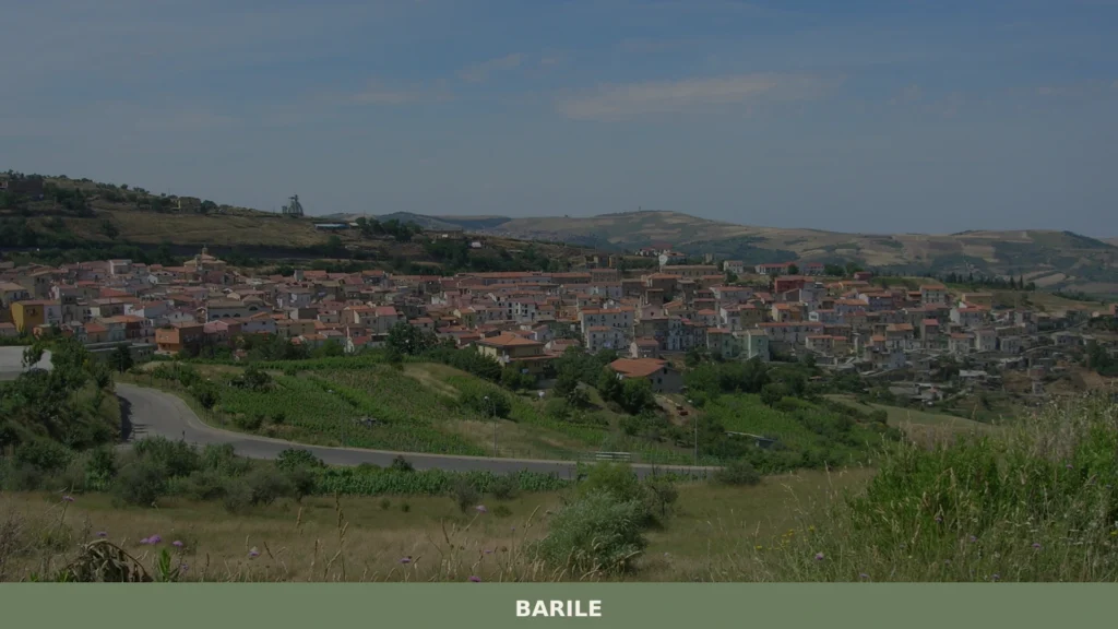 Barile