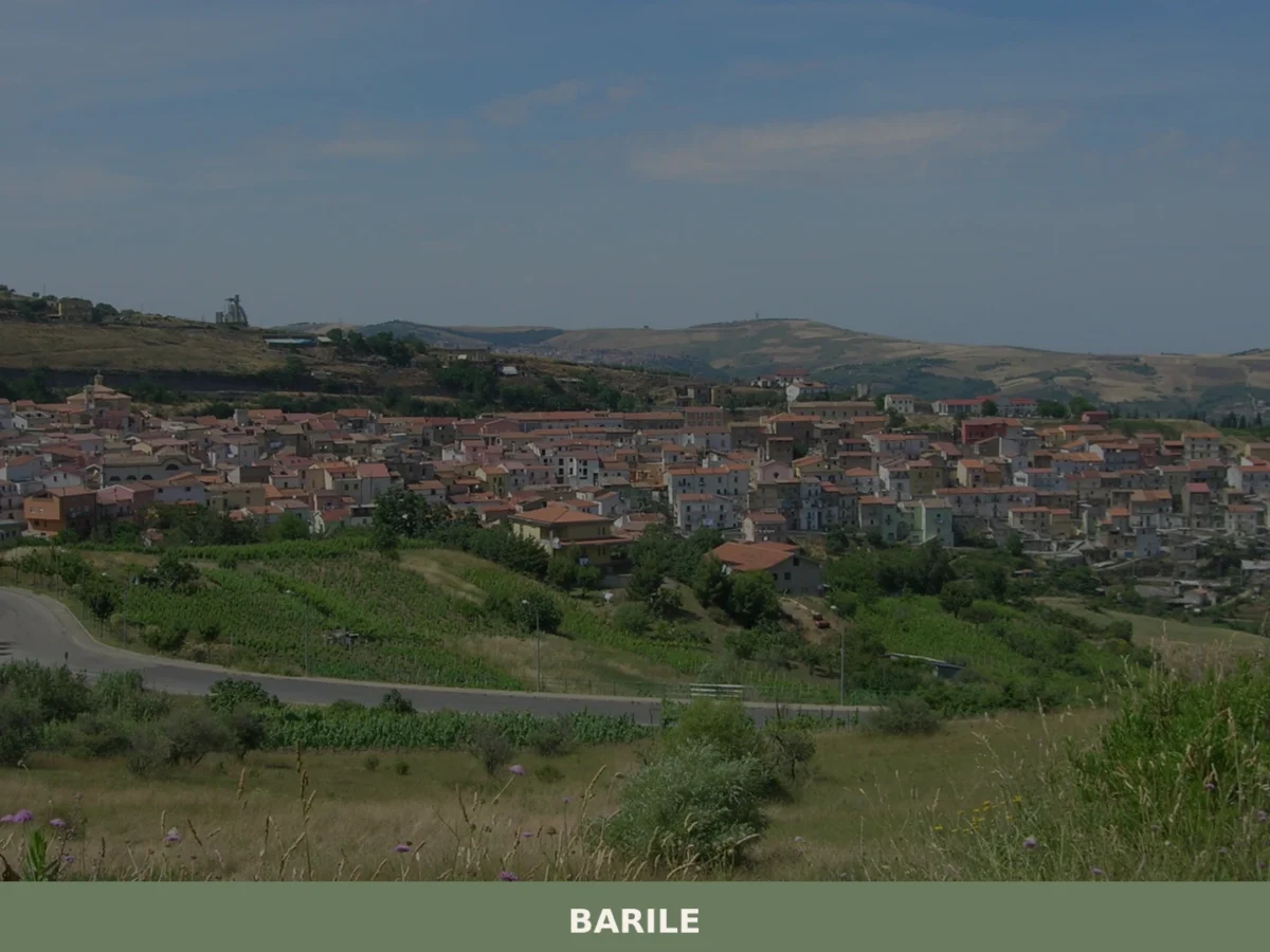 Barile