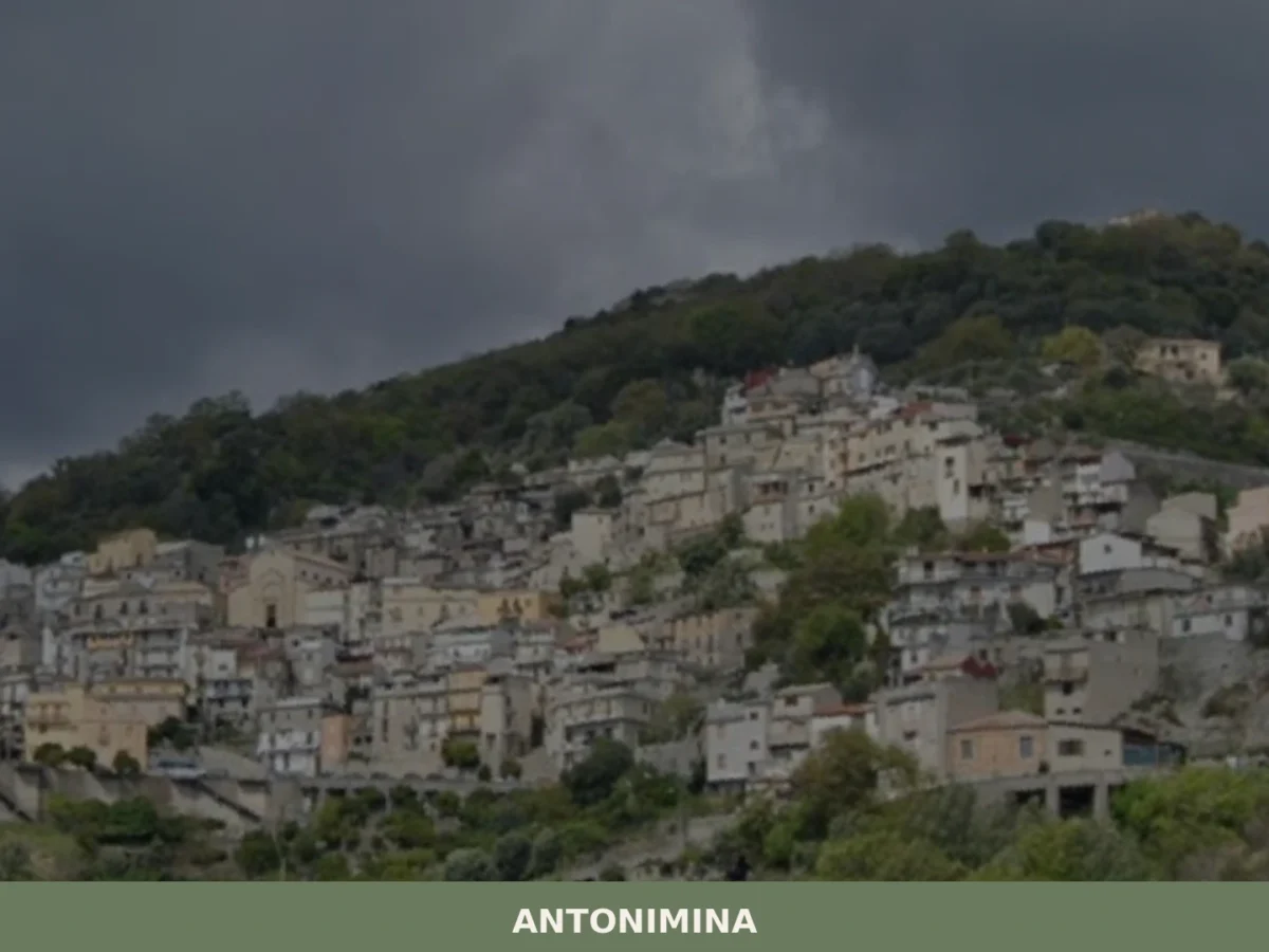 Antonimina