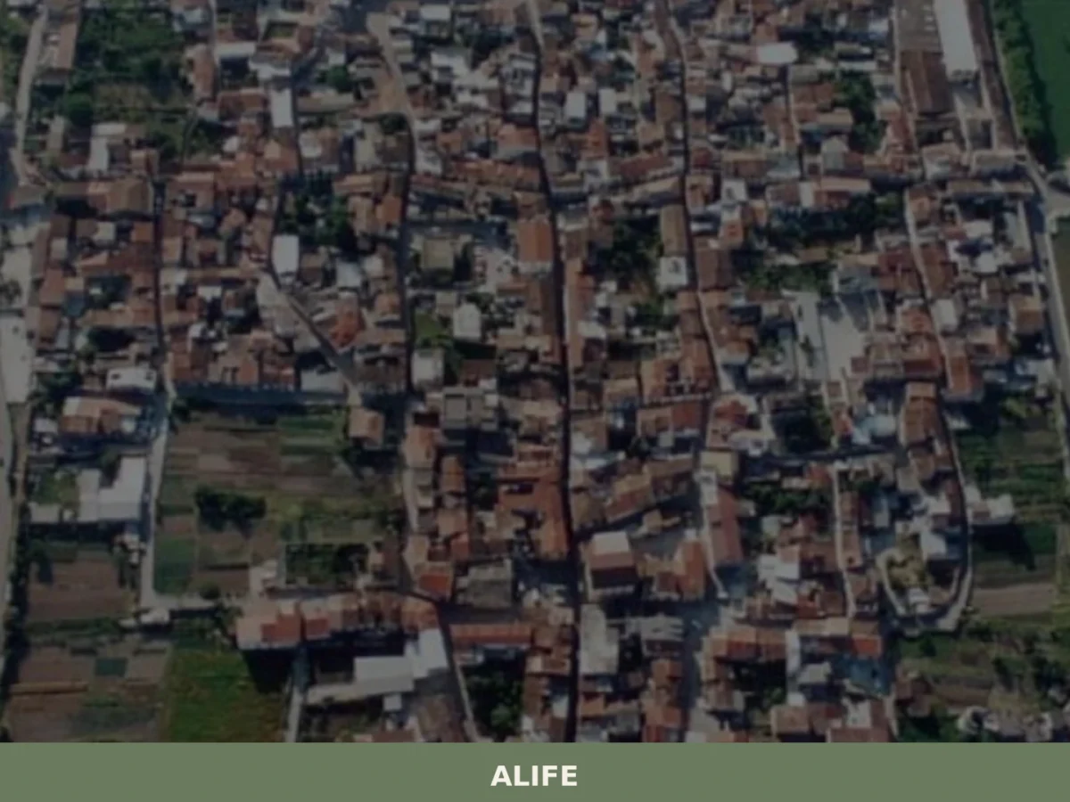 Alife