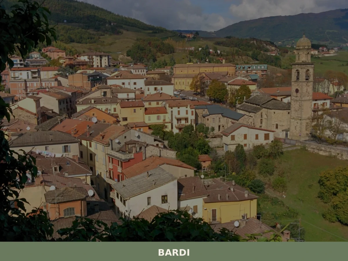 Bardi