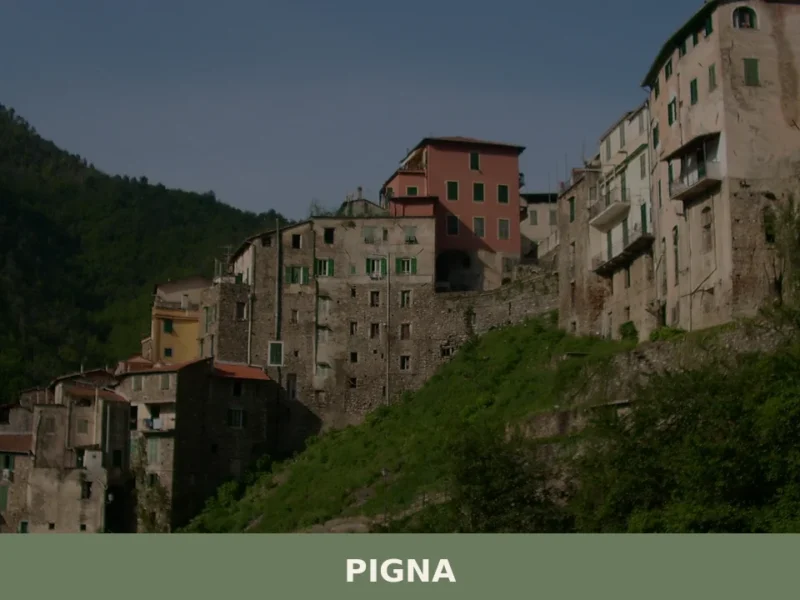 Pigna