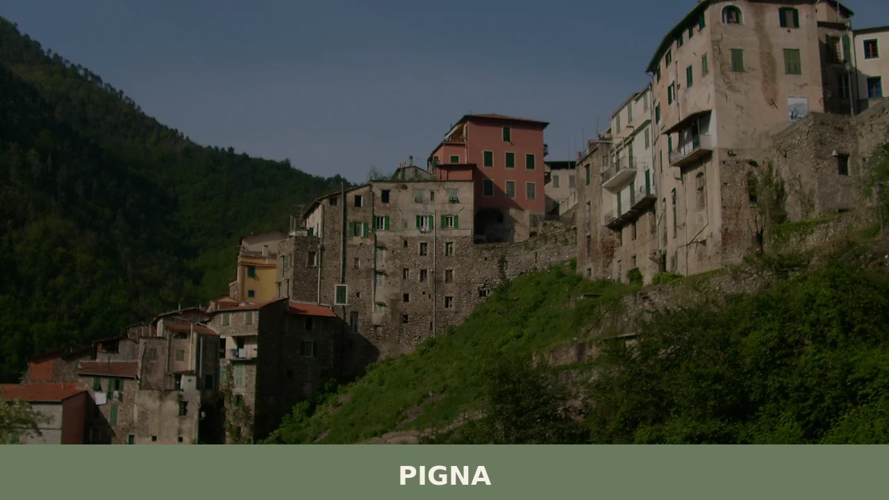 Pigna
