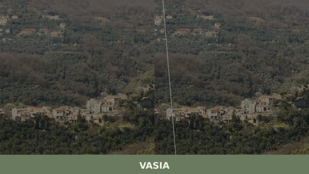 Vasia