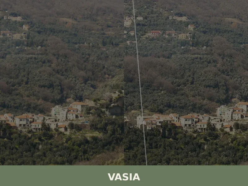 Vasia