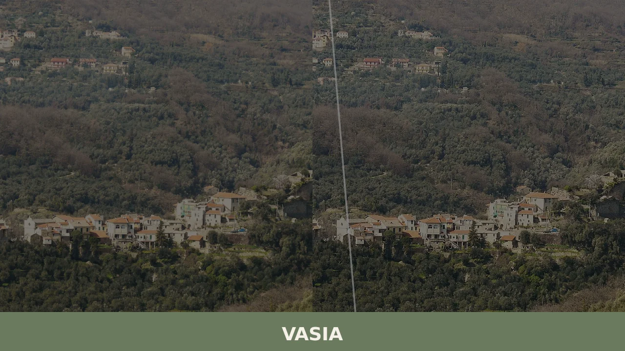 Vasia