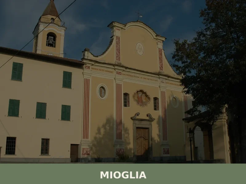 Mioglia