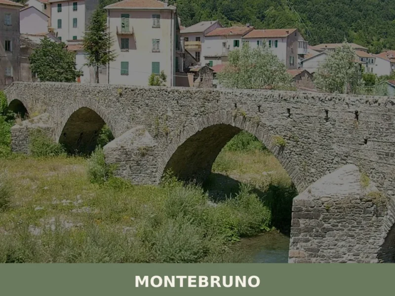 Montebruno