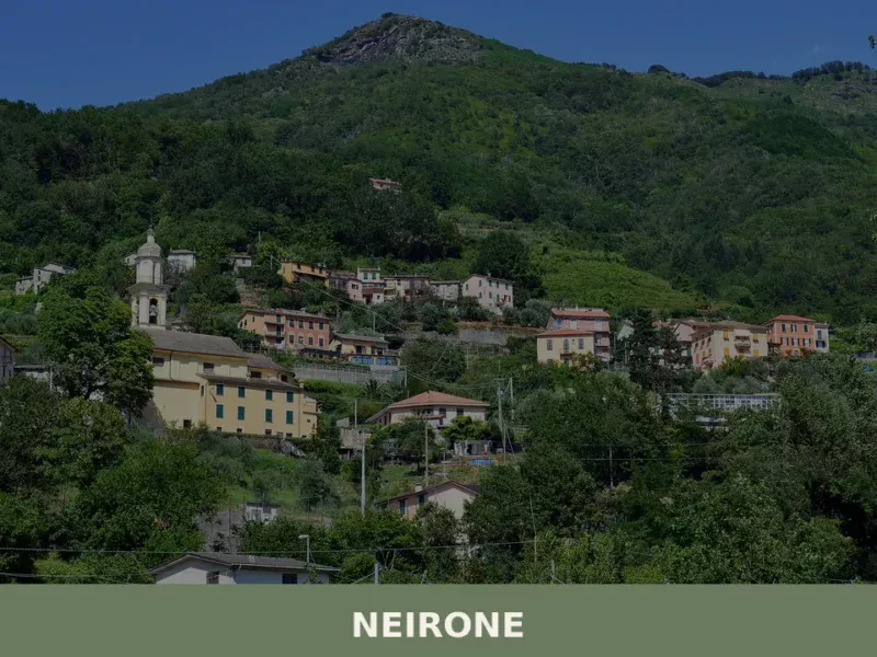 Neirone