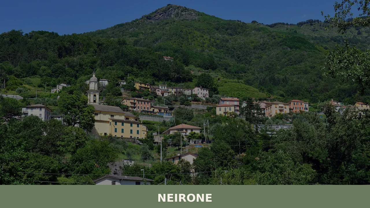 Neirone