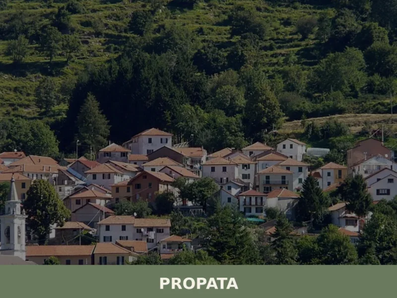 Propata