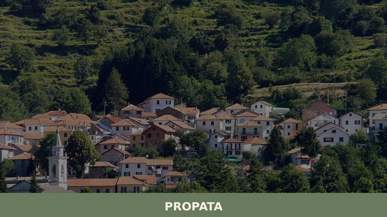 Propata
