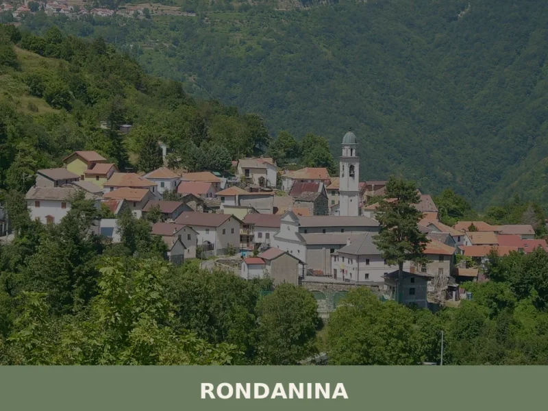 Rondanina