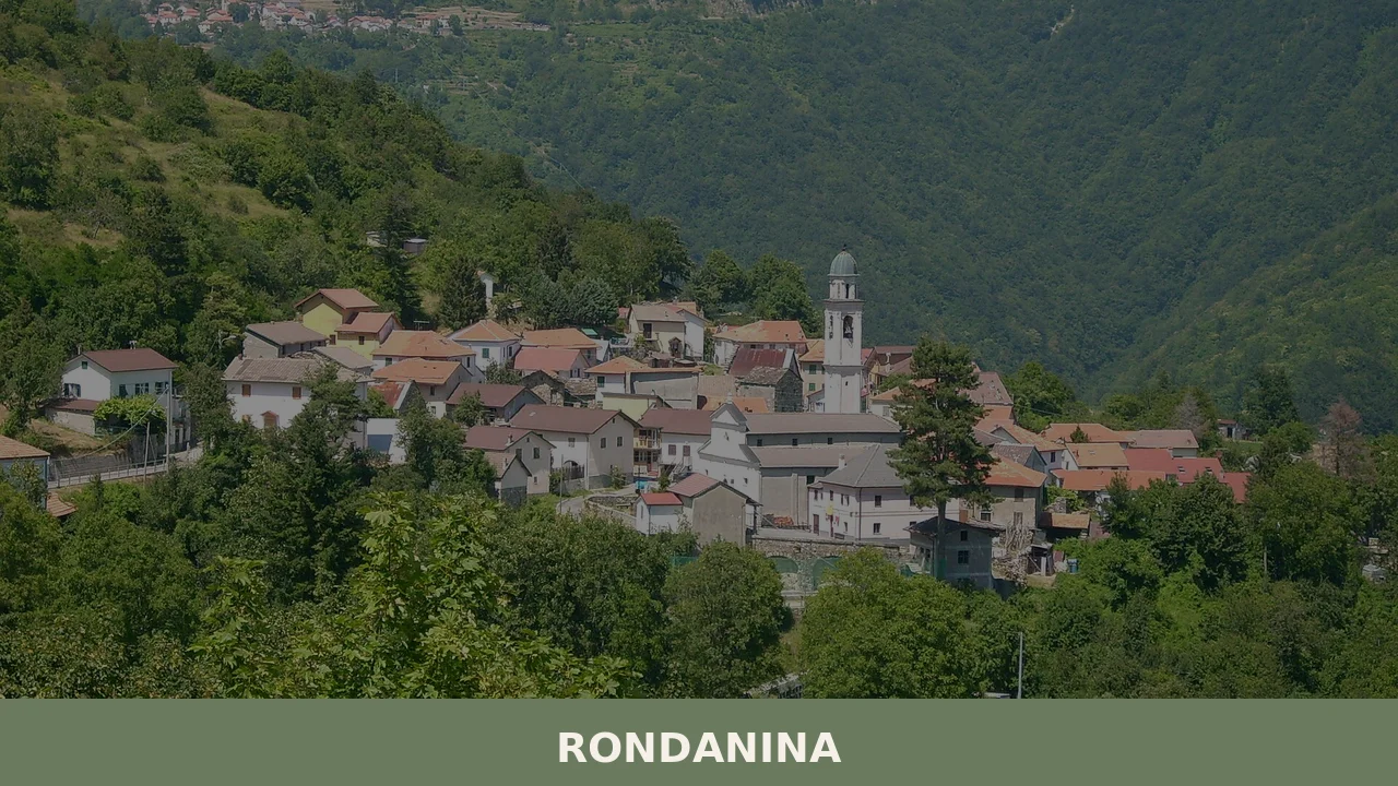Rondanina