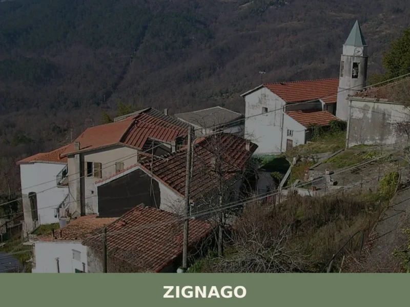 Zignago