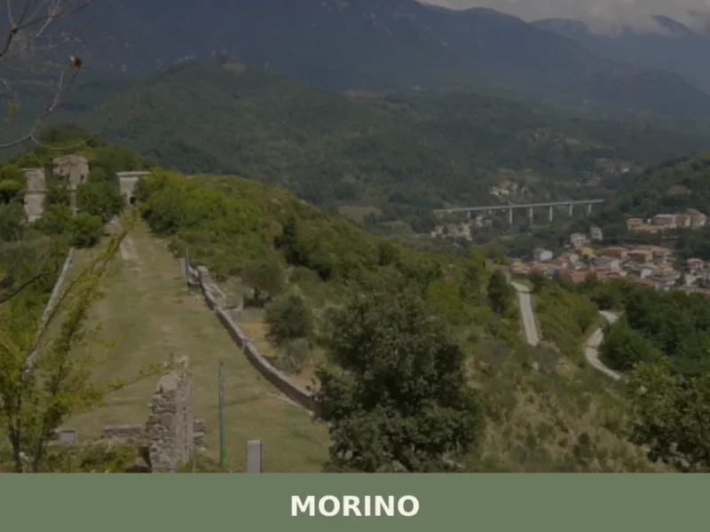 Morino