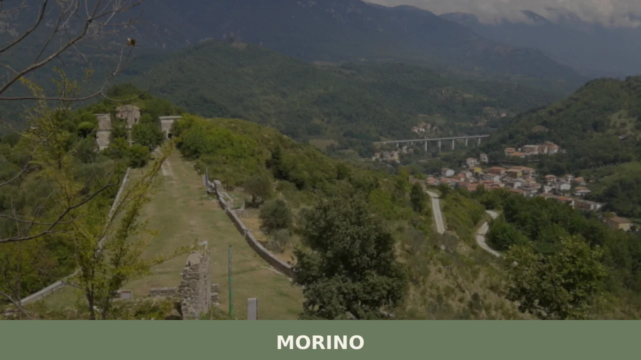 Morino