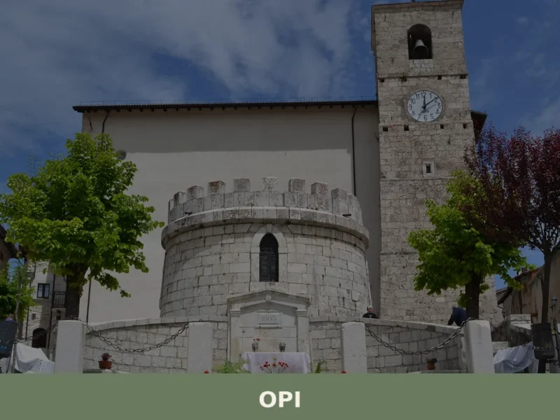 Opi