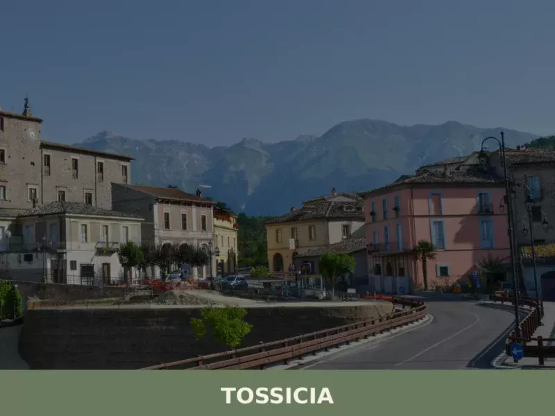 Tossicia