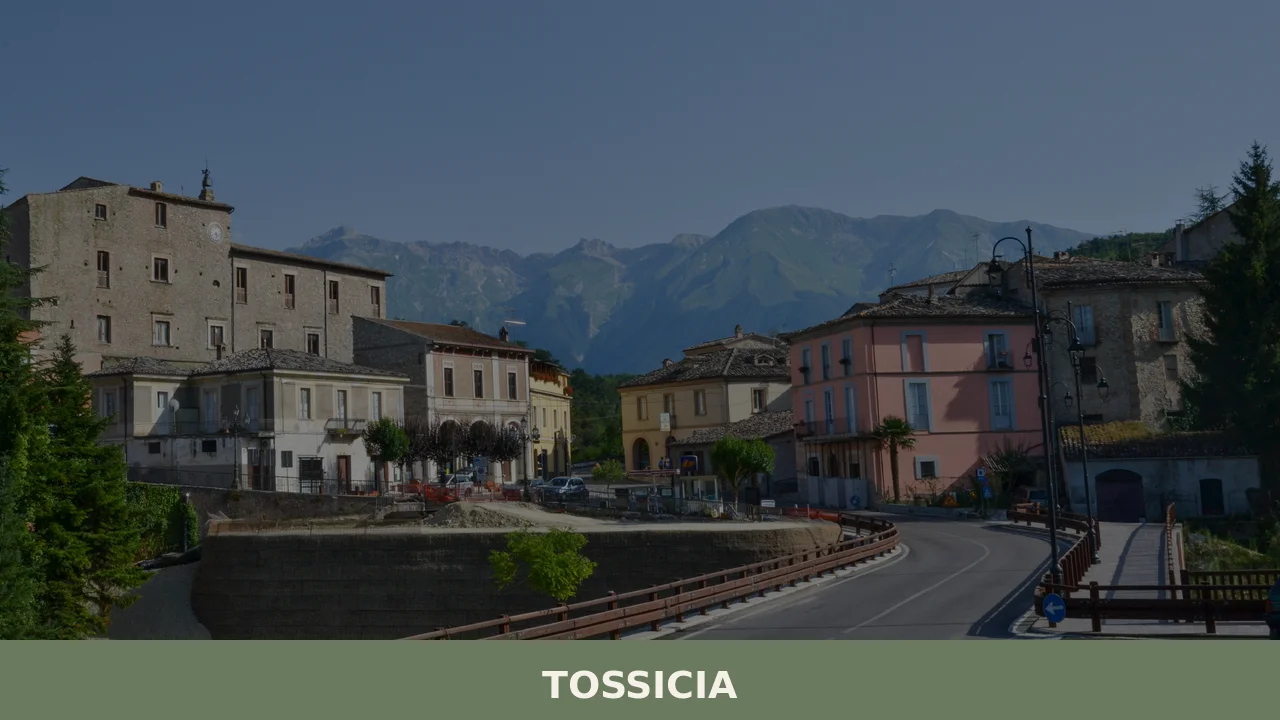 Tossicia