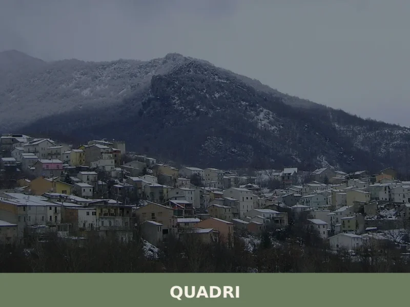 Quadri