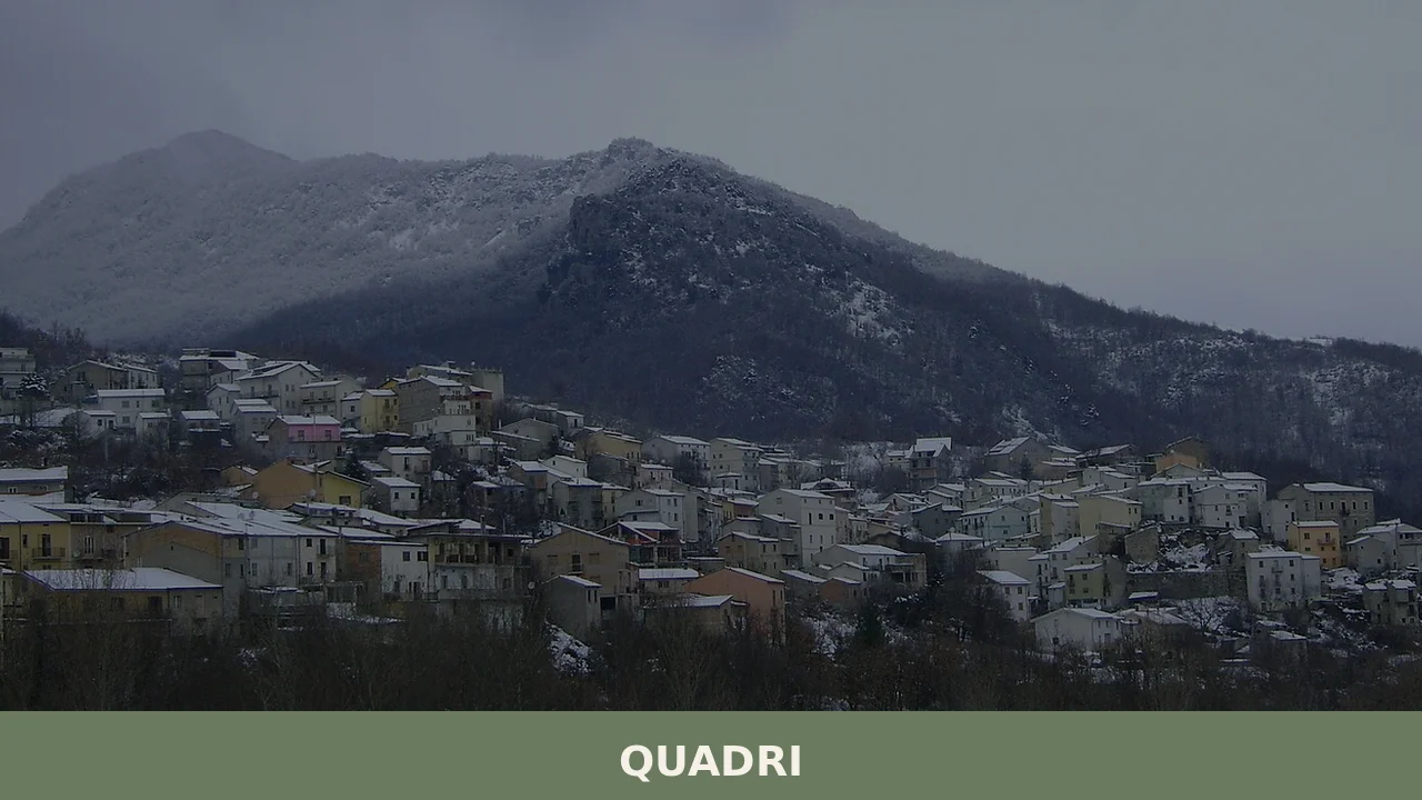 Quadri