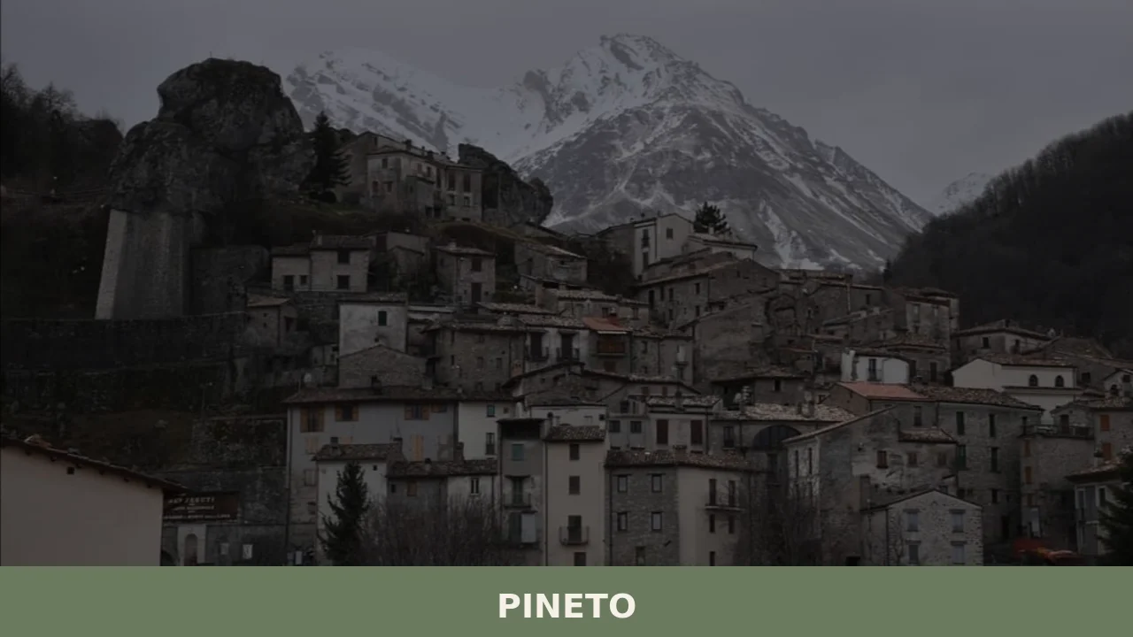 Pineto