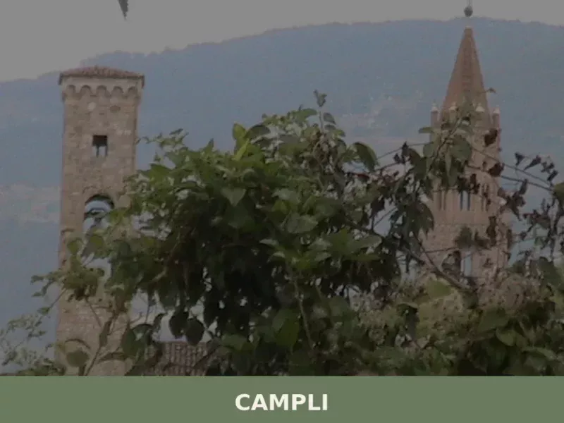 Campli