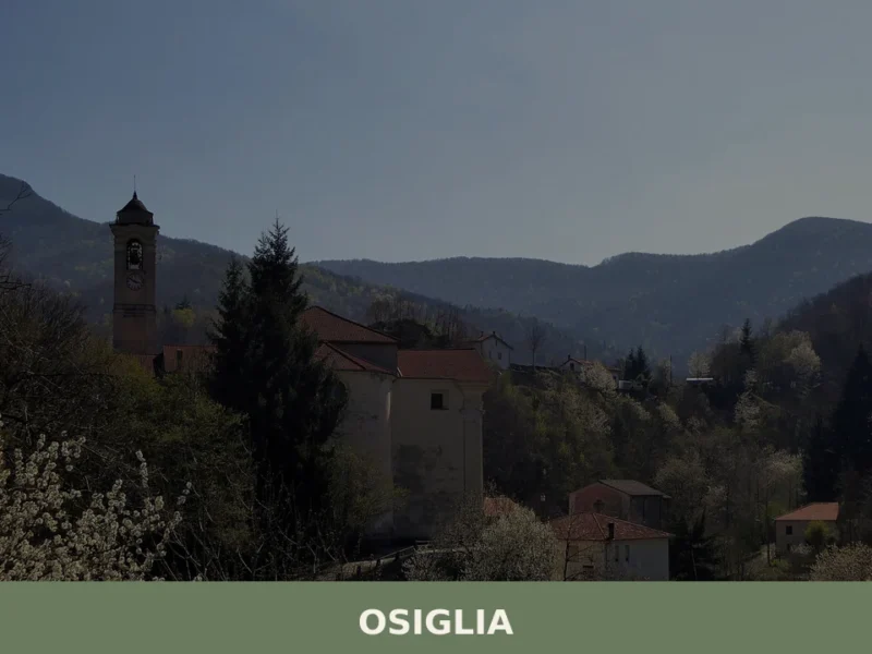 Osiglia