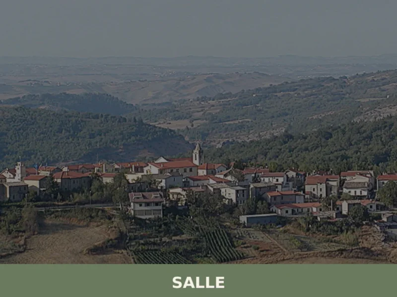 Salle