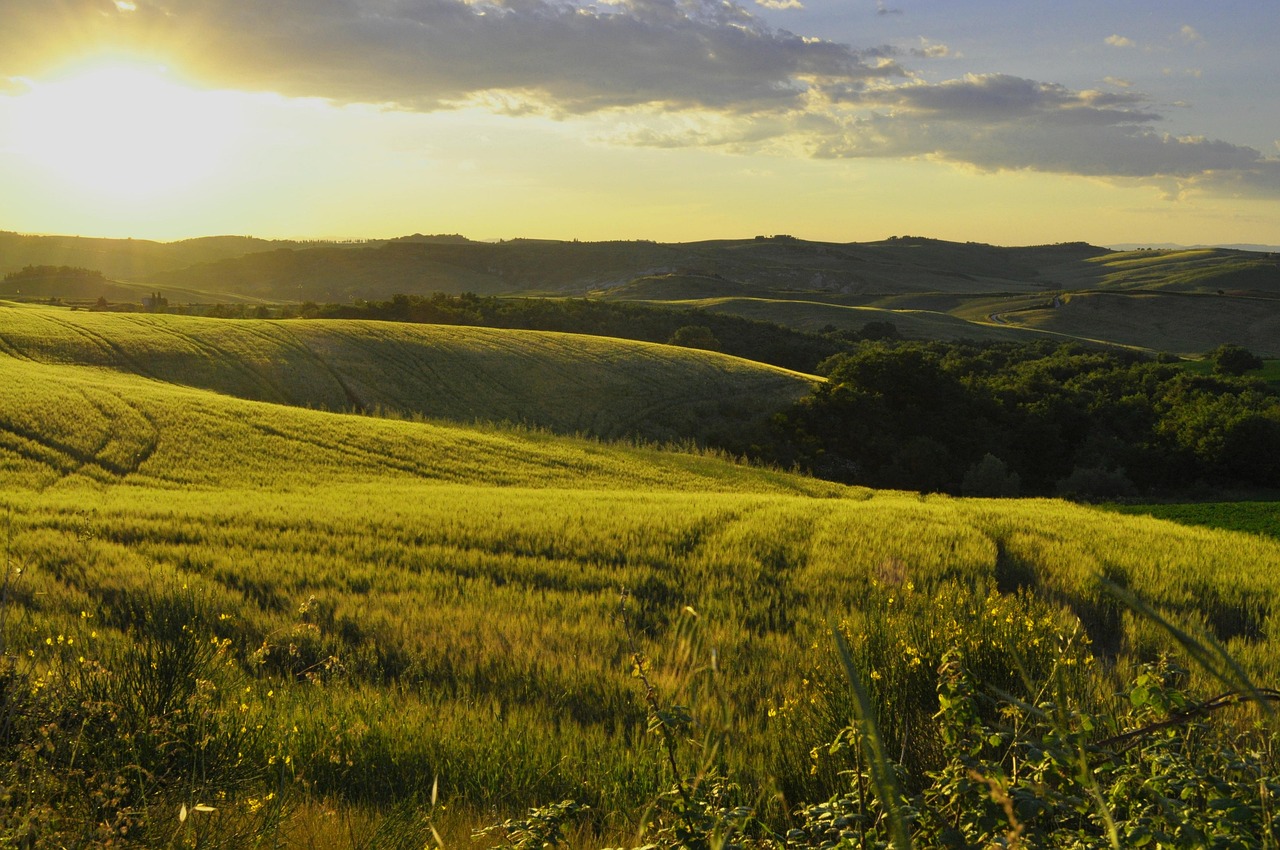 Collina