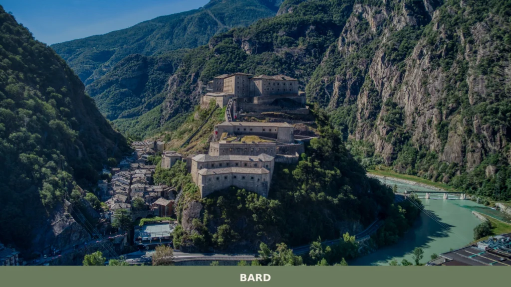 Bard