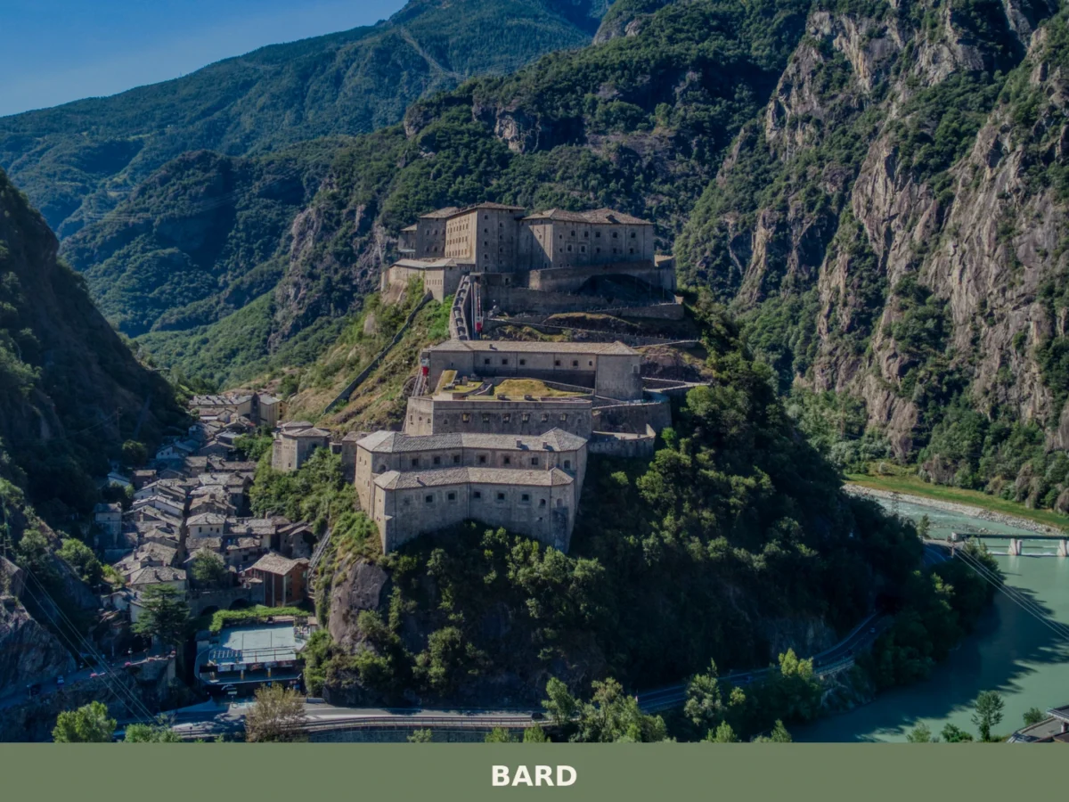 Bard