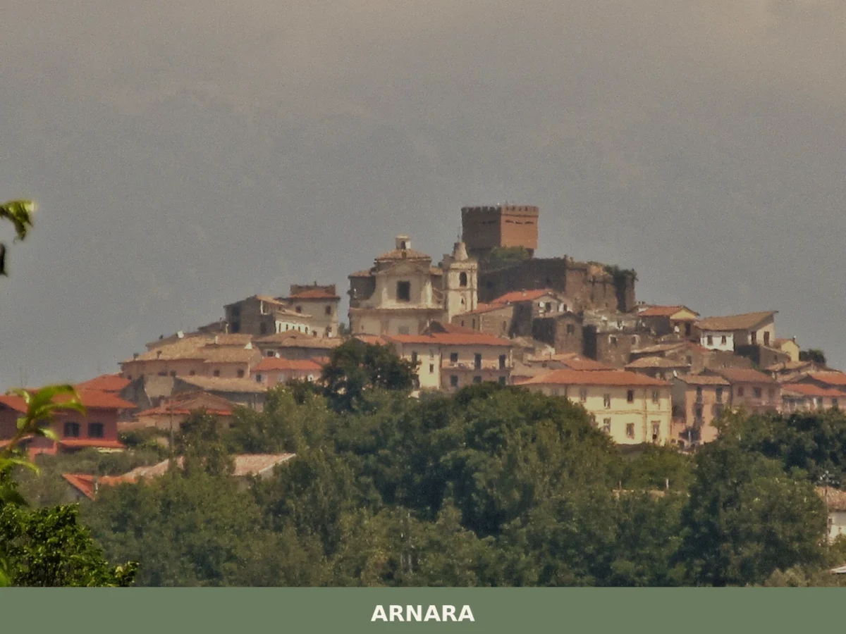 Arnara